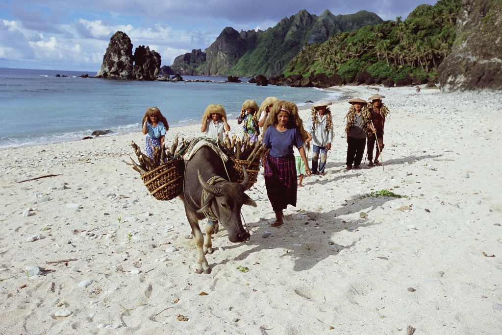 BATANES ISLANDS, PHILIPPINES: Everywhere in the Philippines people use carabaos or water buffalo (here called pagad) to carry heavy loads. Pictured on 2007 in Batanes Islands in Philippines. (Photo by Eric-Paul-Pierre PASQUIER/Gamma-Rapho via Getty Images)